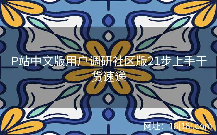 P站中文版用户调研社区版21步上手干货速递