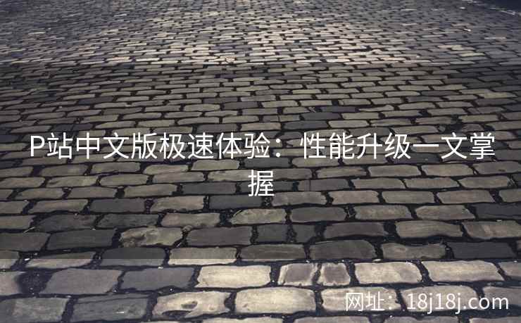 P站中文版极速体验：性能升级一文掌握