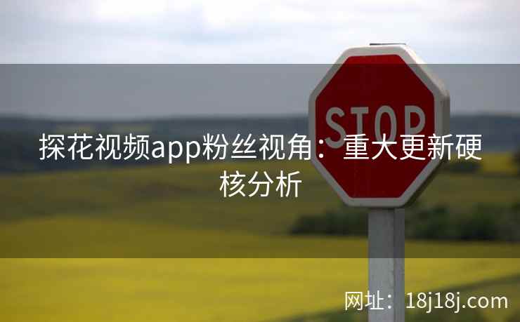 探花视频app粉丝视角：重大更新硬核分析
