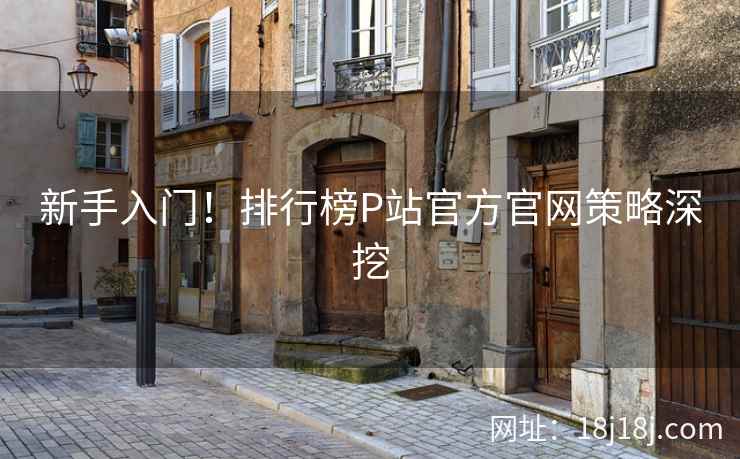 新手入门！排行榜P站官方官网策略深挖