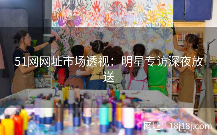 51网网址市场透视：明星专访深夜放送