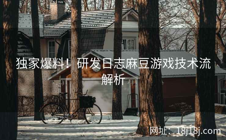 独家爆料！研发日志麻豆游戏技术流解析