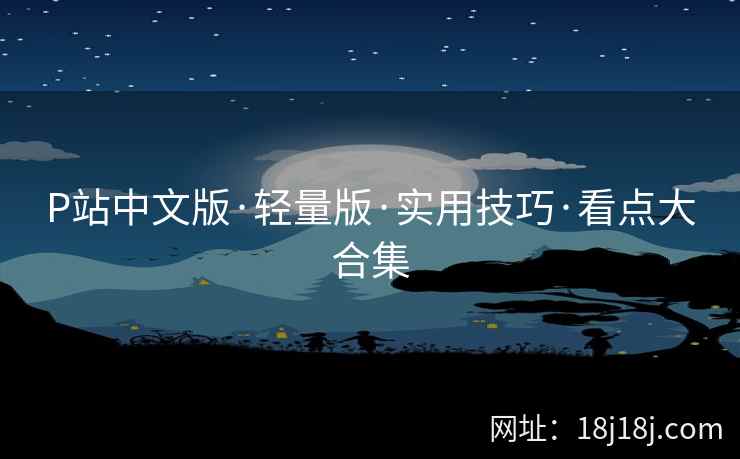 P站中文版·轻量版·实用技巧·看点大合集