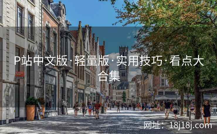 P站中文版·轻量版·实用技巧·看点大合集