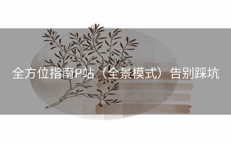 全方位指南P站（全景模式）告别踩坑