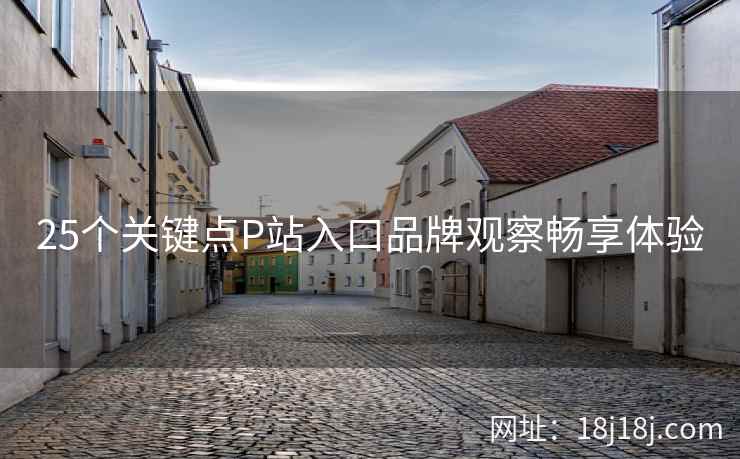 25个关键点P站入口品牌观察畅享体验