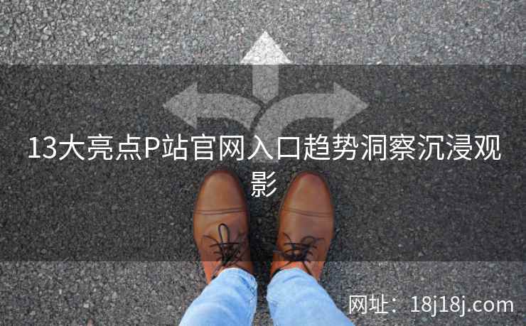 13大亮点P站官网入口趋势洞察沉浸观影