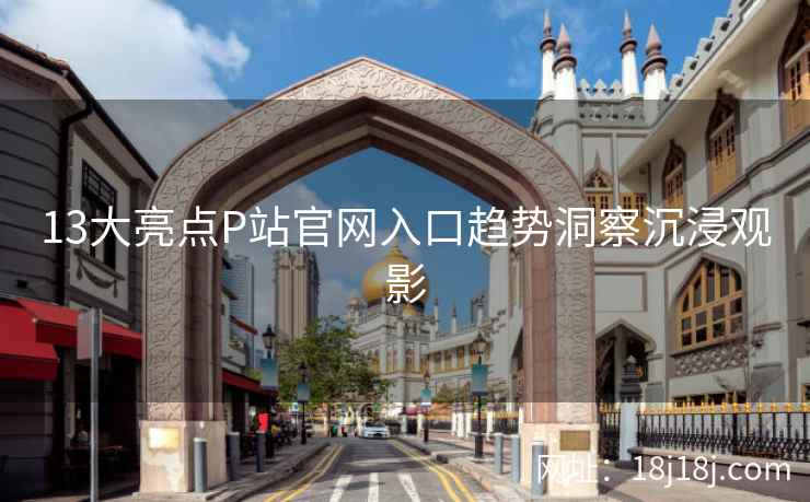 13大亮点P站官网入口趋势洞察沉浸观影