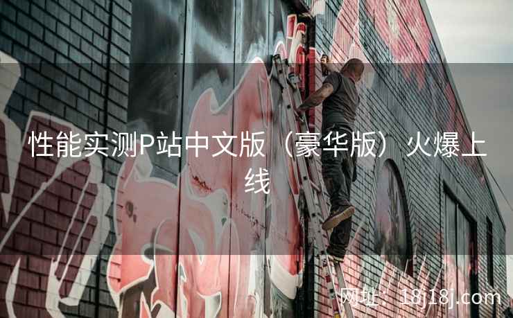 性能实测P站中文版（豪华版）火爆上线