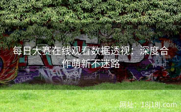 每日大赛在线观看数据透视：深度合作萌新不迷路